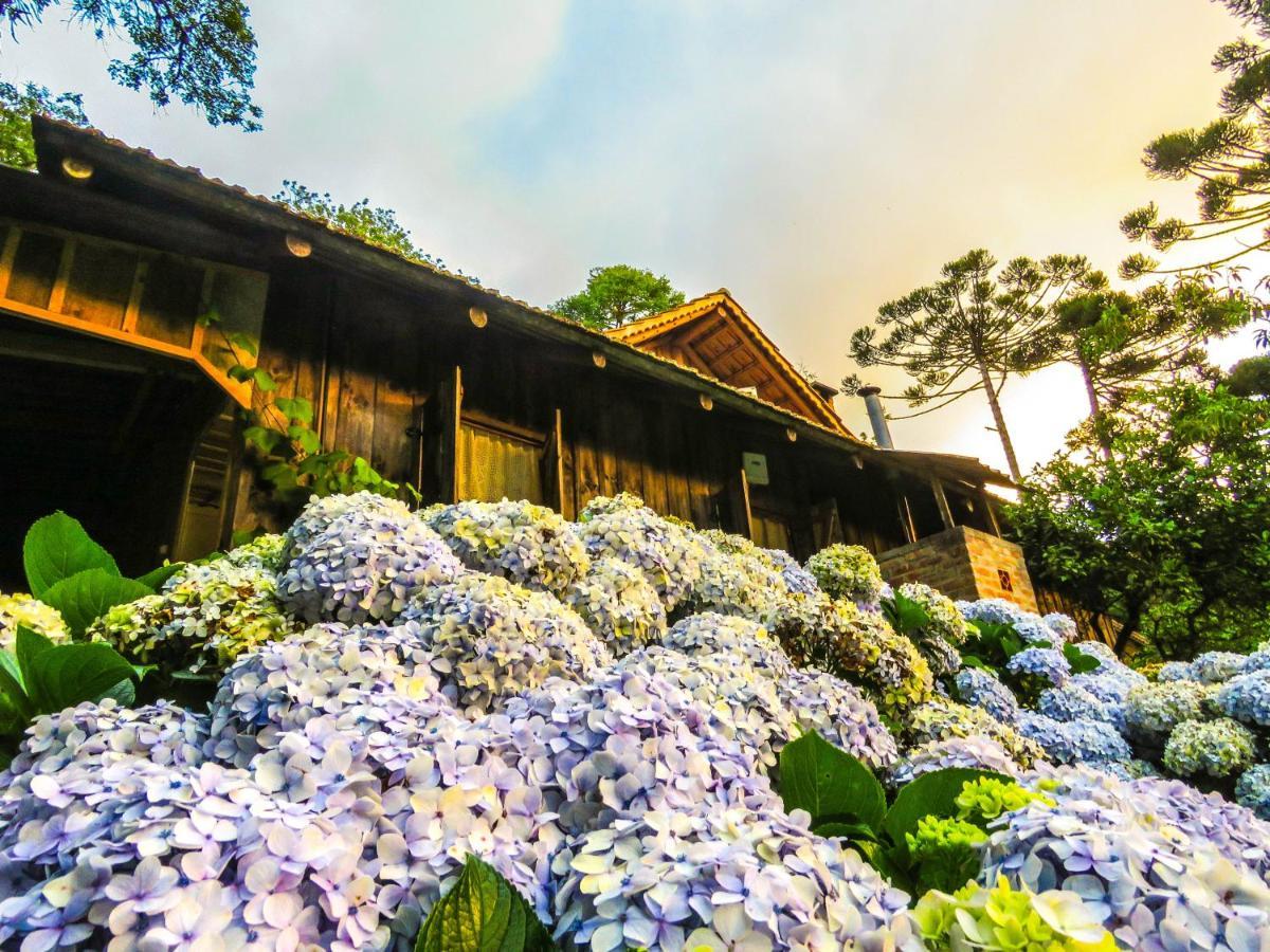 Rancho Do Lucas - Cabana E Chale Sao Bento do Sul Exterior photo